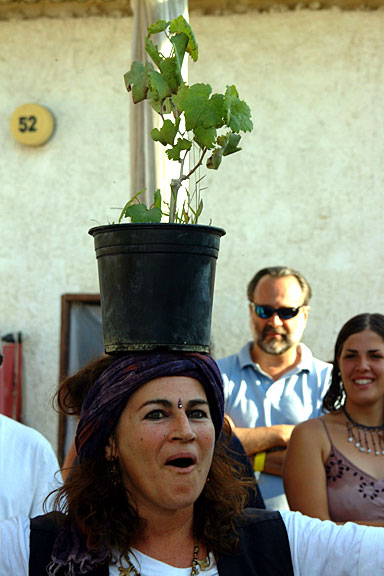DSCF1958